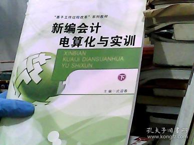 新编会计电算化与实训.上