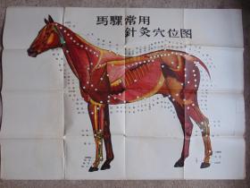 马骡常用针灸穴位图-全开2张-1963年