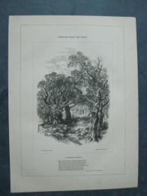 1850年 木口木刻 版画 PASSAGES FROM THE POETS系列之2 《A REMINISCENCE》 背面有文字