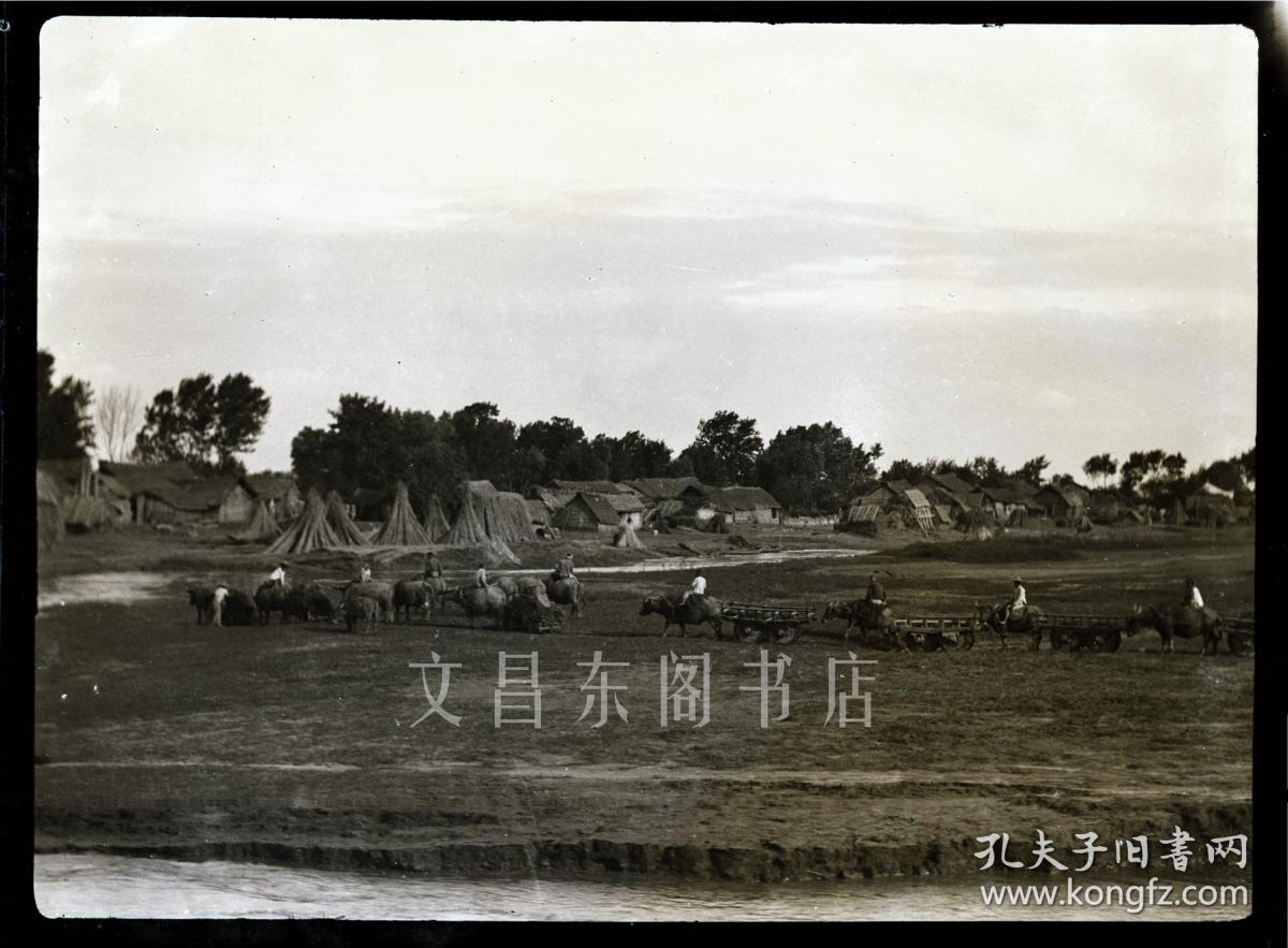 民国早期 湖北省荆州市 沙市一带 长江沿岸的农村风光 大画幅原始底片