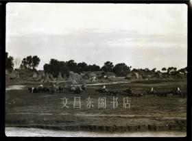 民国早期 湖北省荆州市 沙市一带 长江沿岸的农村风光 大画幅原始底片