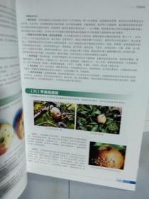 K：中国果树病虫原色图鉴 第2版 / 河南科学技术出版社   精装（16开 有塑封 正版