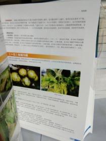 K：中国果树病虫原色图鉴 第2版 / 河南科学技术出版社   精装（16开 有塑封 正版