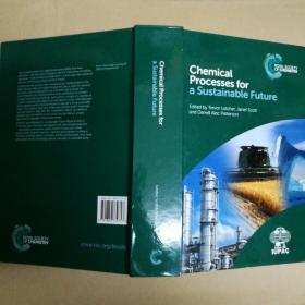 可持续未来的化学过程 Chemical Processes for a Sustainable Future