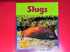 Slugs