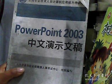 PowerPoint 2003中文演示文稿
