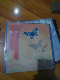 heart dog &butterfly  黑胶唱片