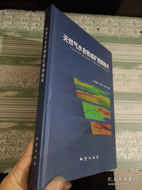 天然气水合物成矿预测技术（精装）16开