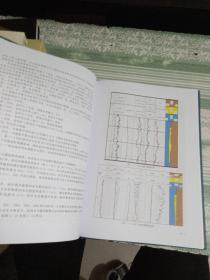 天然气水合物成矿预测技术（精装）16开