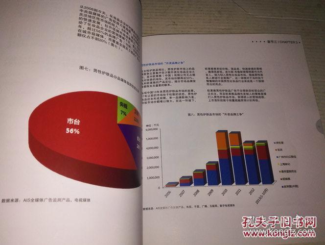 2013尼尔森网联媒介研究年度报告集