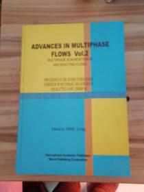 ADVANCES IN MULTIPHASE FLOWS Vol.2（MULTIPHASE, NON-NEWTONIAN AND REACTING FLOWS）附光盘 精装 详情如图