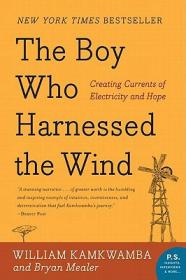 GUOBoy Who Harnessed the Wind, The