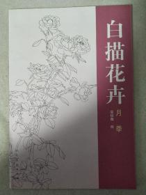 白描花卉 月季