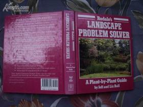 《landscape problem solver》风景解决问题