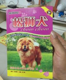 经典名犬系列：松狮犬