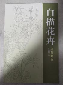 白描花卉 闲花野草