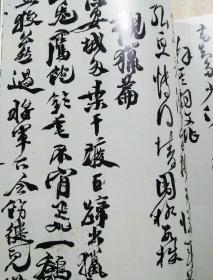 《东方艺术书法》杂志，徐渭《边塞诗十四首五体书卷》考释（6-21页）；张培元书法赏析；雪庐藏《吉金集拓册》赏评（38-67页，三年师兑簋，格白簋，小克鼎，鼎铭，师酉簋，敦铭）；吴昌硕、沈石友金石书法赏析（84-101页）；胡抗美、沃兴华书法作品精选（102-133页，联展作品）