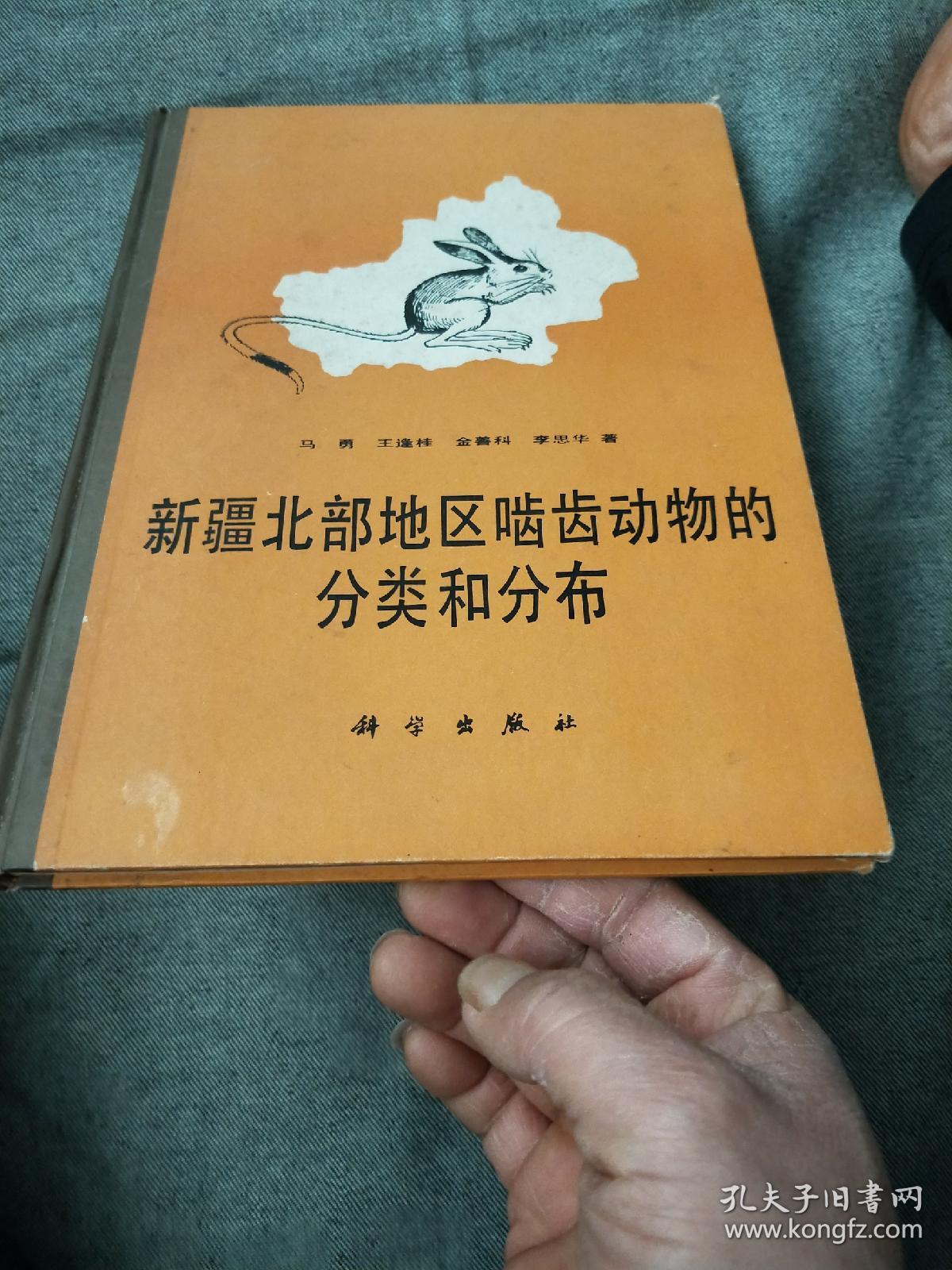 新疆北部地区啮齿动物的分类和分布。签名本