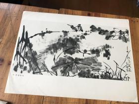 3084L印刷品   李苦禅 作 荷塘翠鸟