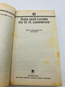 Sons and Lovers 英国文学原版