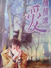 名家小说典藏系列  暗夜行路作品集 ：醒醒嘿爱 ＋北京正午 ＋我要的不多
