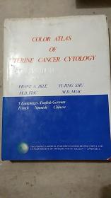 Color atlas of uterine cancer cytology: 5 languages子宫癌细胞学彩色图谱 英德法西中 5种文字