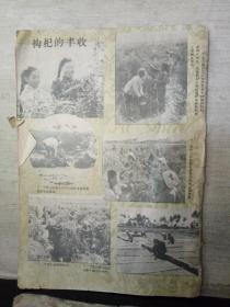 中医杂志（1959年9月号）