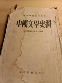 中国文学史纲