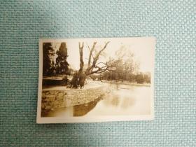老照片专辑004:民国老照片，三位女学生站在河岸边，一张，尺寸8.3*6