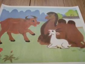 骆驼和羊（三）（六年制小学课本语文第三册教学图片（上）15（6））