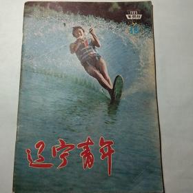 《辽宁青年》1985-14、1988-22、1989-4三本合售