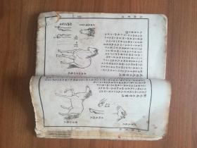 马骀画宝之一(鸟兽画法、花卉草虫画法、上下两册线装，石印本）每页都有各页书衣