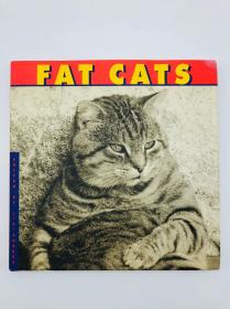 Fat Cats 英文原版-《肥猫咪》