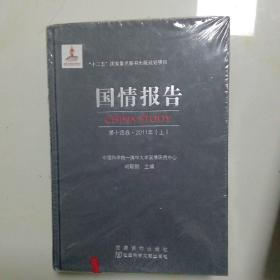 国情报告（第十四卷2011年上下册）