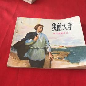 我的大学——高尔基故事之三