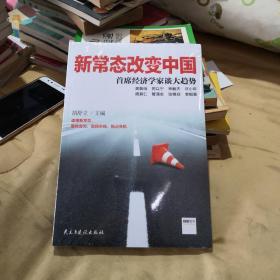 新常态改变中国：首席经济学家谈大趋势