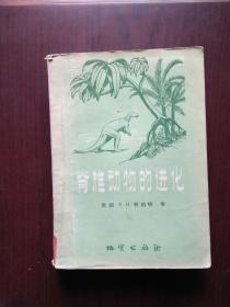 脊椎动物的进化（大32开武汉师范学院馆藏，书脊有微损，1959年1版1印2100册411页37万字插图122幅，美E.H.科尔伯特著）