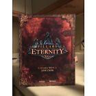 Pillars of Eternity Collector’s Edition 永恒之柱 收藏版 电脑游戏