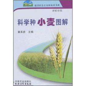 小麦种植技术书籍 科学种小麦图解