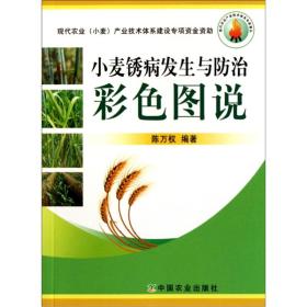 小麦种植技术书籍 小麦锈病发生与防治彩色图说