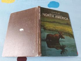 THE LAND AND WILDLIFE OF NORTH AMERICA ( 北美地区野生动物）