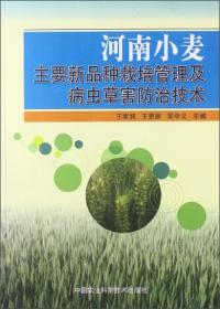 小麦种植技术书籍 河南小麦主要新品种栽培管理及病虫草害防治技术