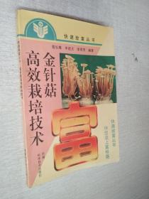 金针菇高效栽培技术