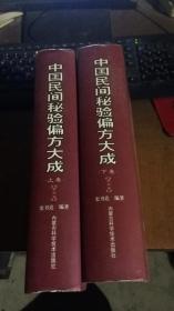 中国民间秘验偏方大成 上下.