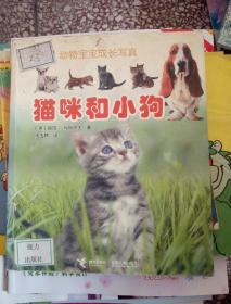 猫咪和小狗