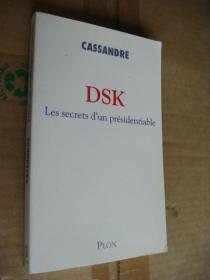 DSK:Les secrets d'un présidentiable 法文原版 18开