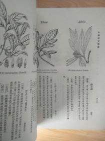 中国植物图鉴 精装全一册 中华书局1956年三印 私藏好品