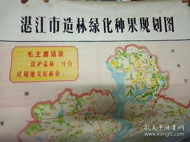 湛江市造林绿化种果规划图（遂溪、海康、吴川）【时期 有语录】