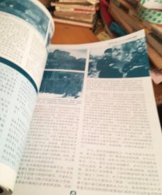 征服通往罗马之路•1943-1944年的意大利战局