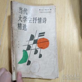 当代大学生抒情诗精选